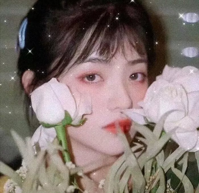 万物友灵